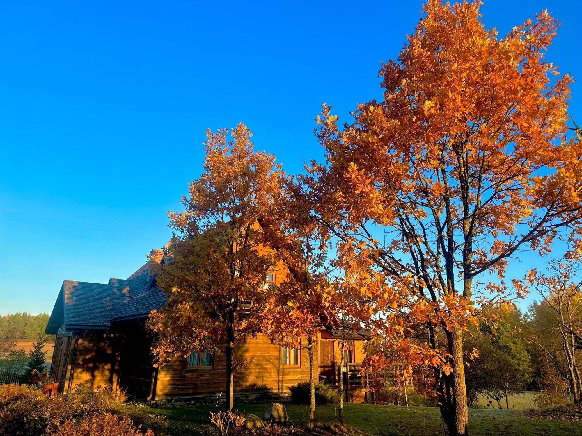 Dolina Sarenek Hotel Sejny Luaran gambar